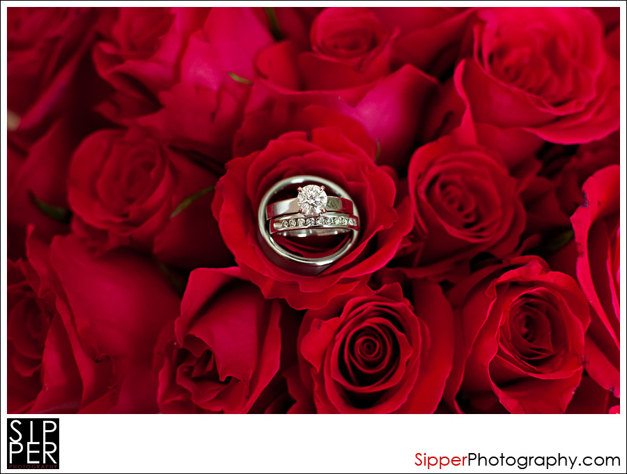 Wedding Rings on Hot Pink Roses